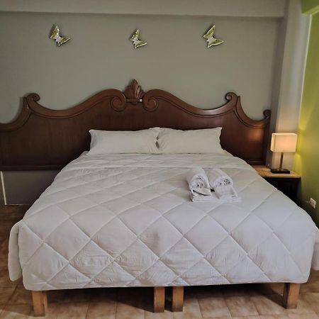 Cabo Tortuga Hotel Boutique 卡波圣卢卡斯 外观 照片
