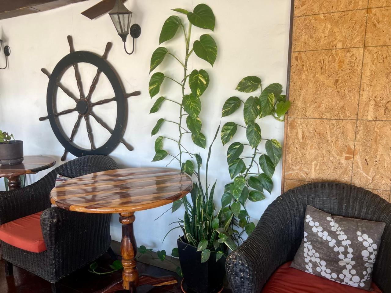 Cabo Tortuga Hotel Boutique 卡波圣卢卡斯 外观 照片
