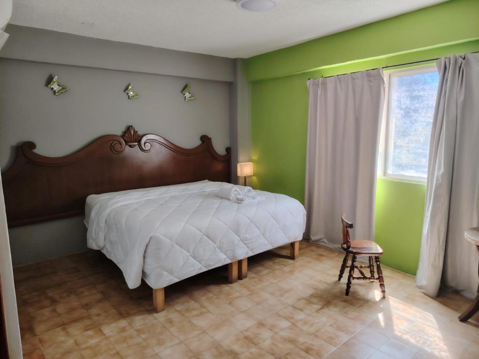 Cabo Tortuga Hotel Boutique 卡波圣卢卡斯 外观 照片