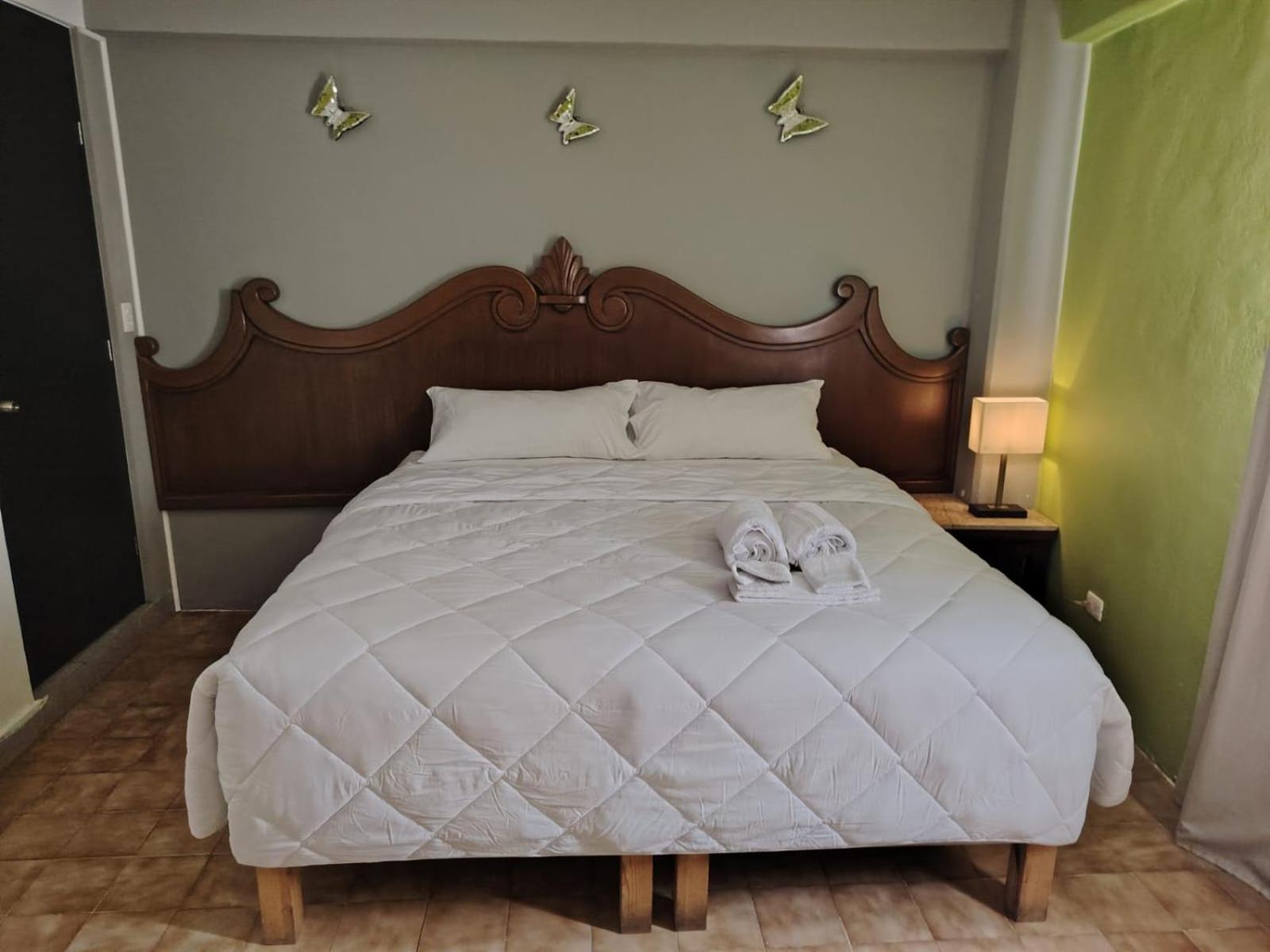 Cabo Tortuga Hotel Boutique 卡波圣卢卡斯 外观 照片